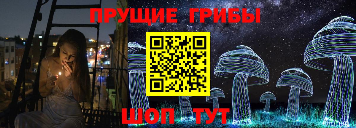 Мичуринск  Галлюциногенные грибы Magic Shrooms  цена наркотик  Вход с VPN 